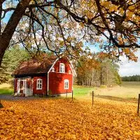 shutterstock_119400862